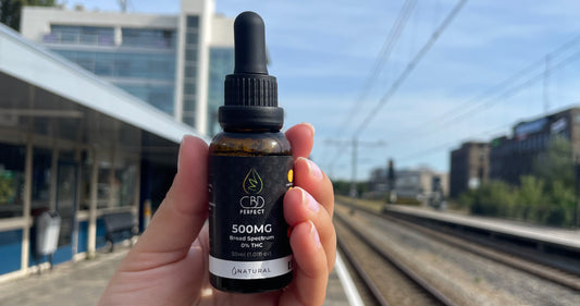 CBD para los más pequeños de la casa